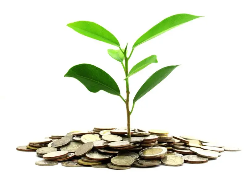 Инвестиции SKF в сохранение экологии | Свежие новости в Вологде